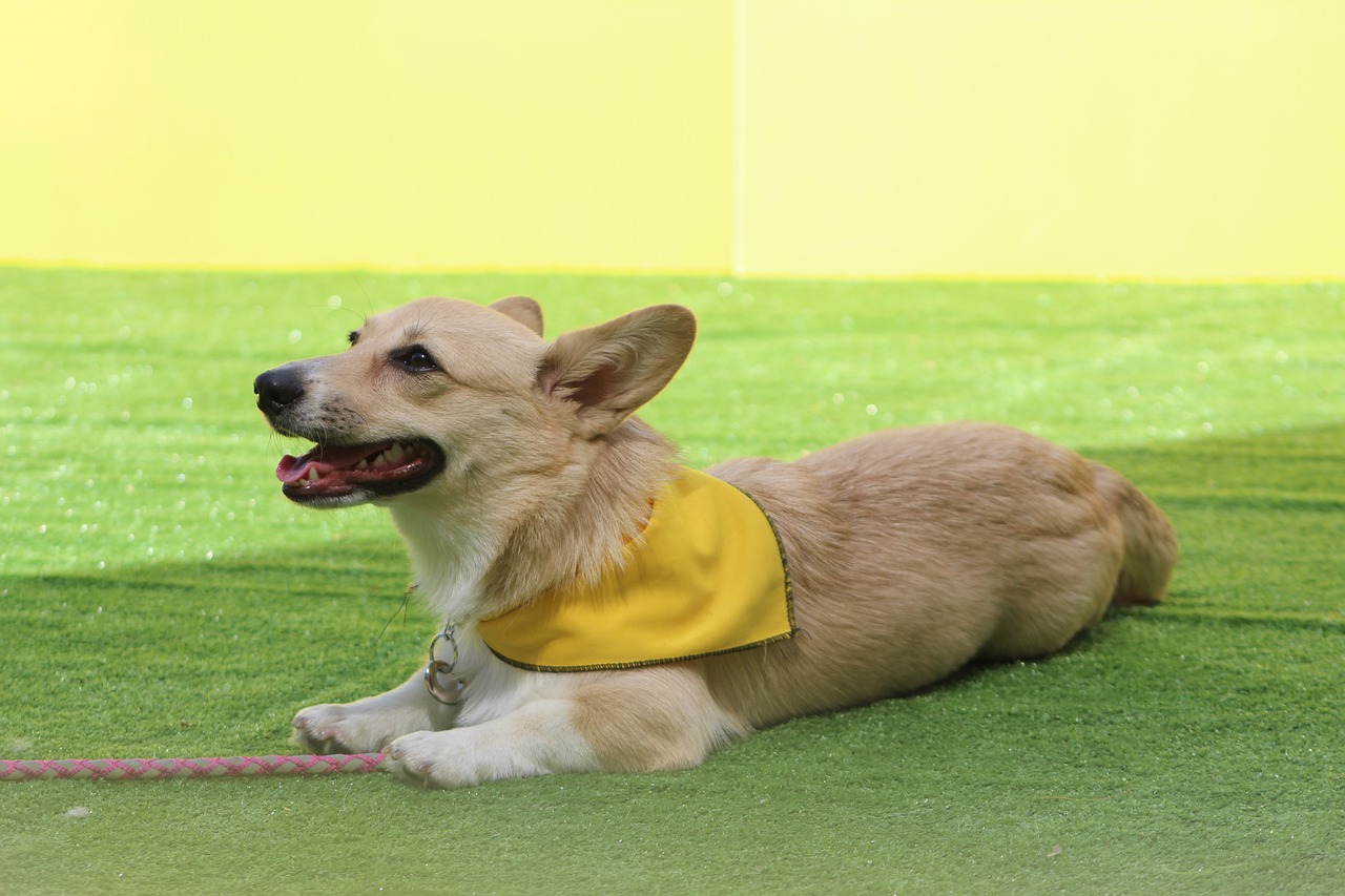 How to Stay Calm Under Pressure: Expert Advice