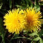 How to Foster Resilience in Times of Change and Uncertainty How to Foster Resilience in Times of Change and Uncertainty