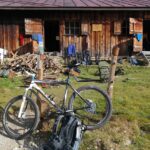 The Role of Stress in Weight Gain: How to Break the Cycle for Good The Role of Stress in Weight Gain: How to Break the Cycle for Good