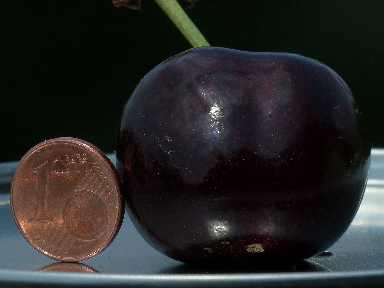 Why You Shouldn’t Compare Your Weight Loss Journey to Others’