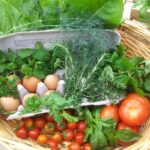 Why Consistency Trumps Perfection for Sustainable Weight Loss