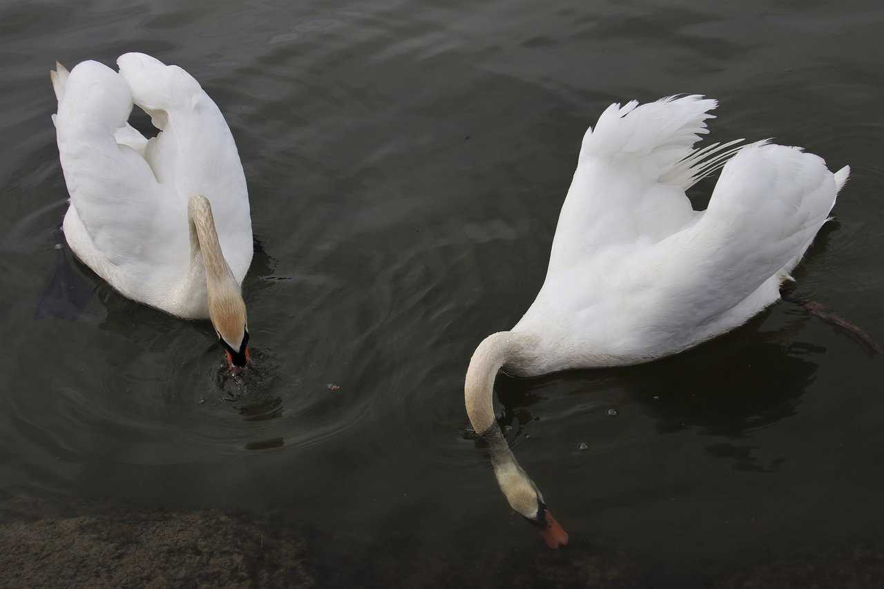 The Art of Mindful Eating: How It Can Help You Lose Weight